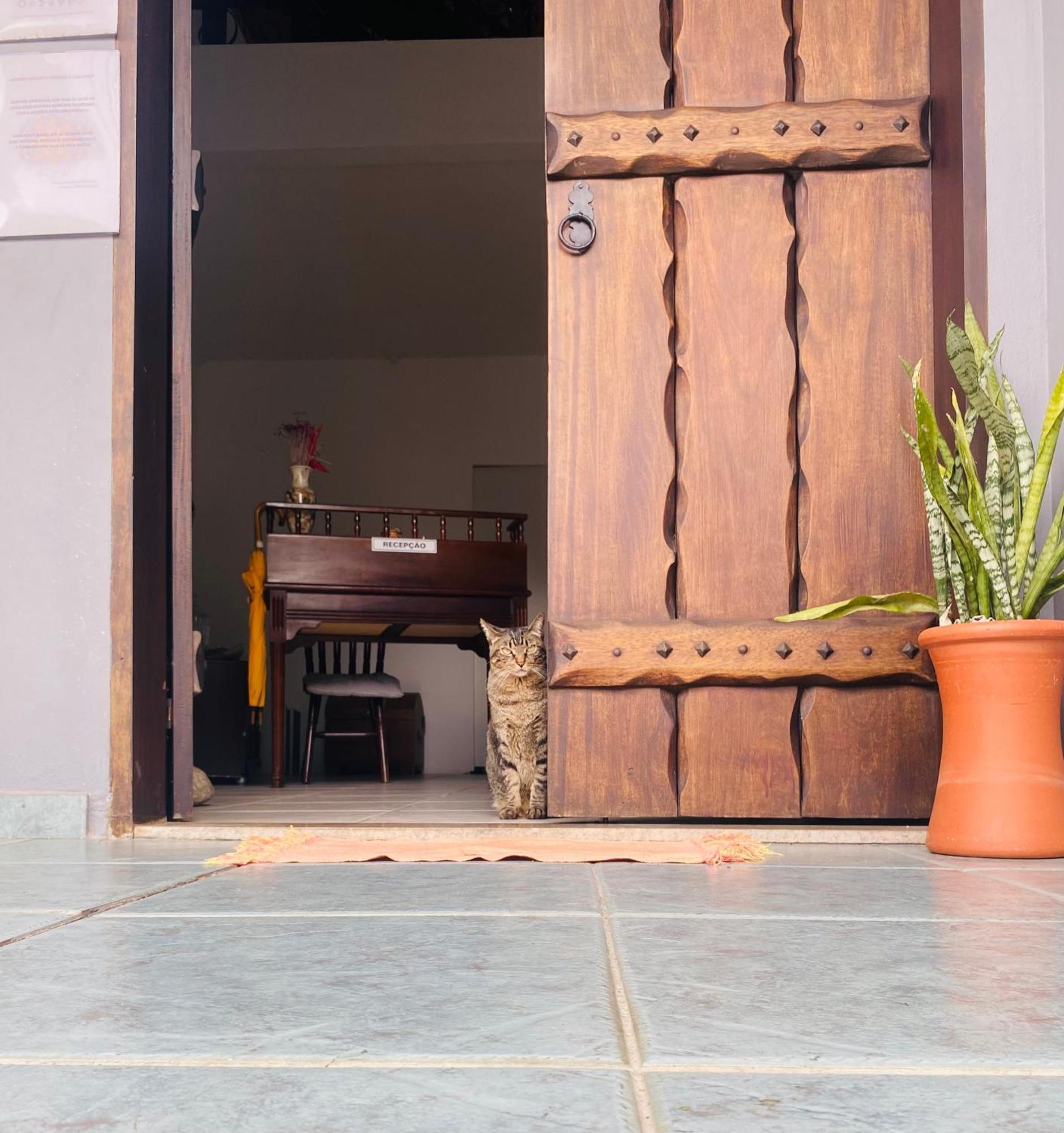 Bahan Suites Privativas - Ideal Para Casais Ubatuba Eksteriør billede